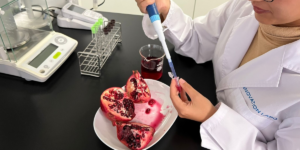 Fermented Pomegranate